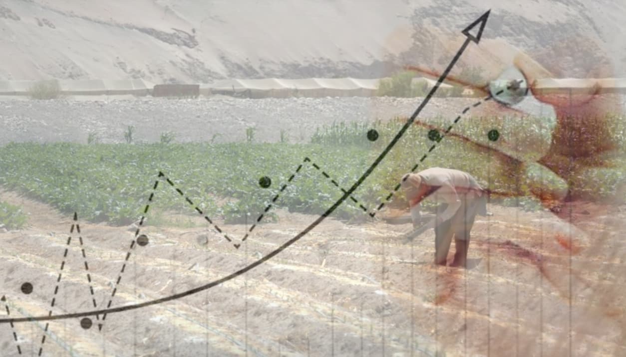 Asesoría Fomento Productivo